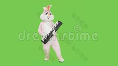 音乐家穿着复活节兔子真人套装，弹钢琴音乐，庆祝复活节，玩彩键